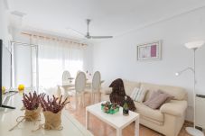 Apartamento en Guardamar - Fidalsa Cafe del Mar