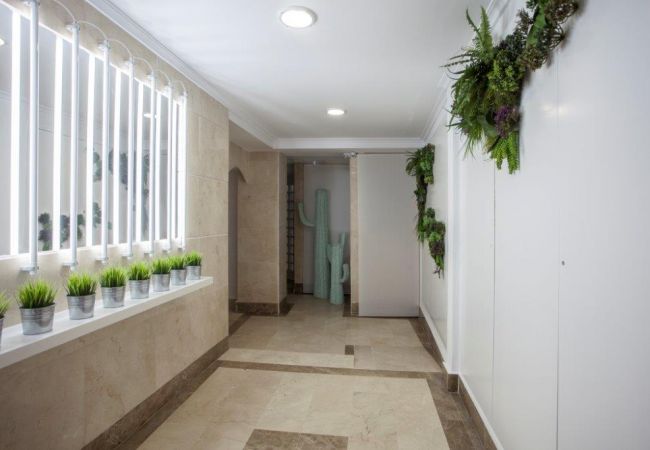 Apartamento en Valencia - Mercado Central VI