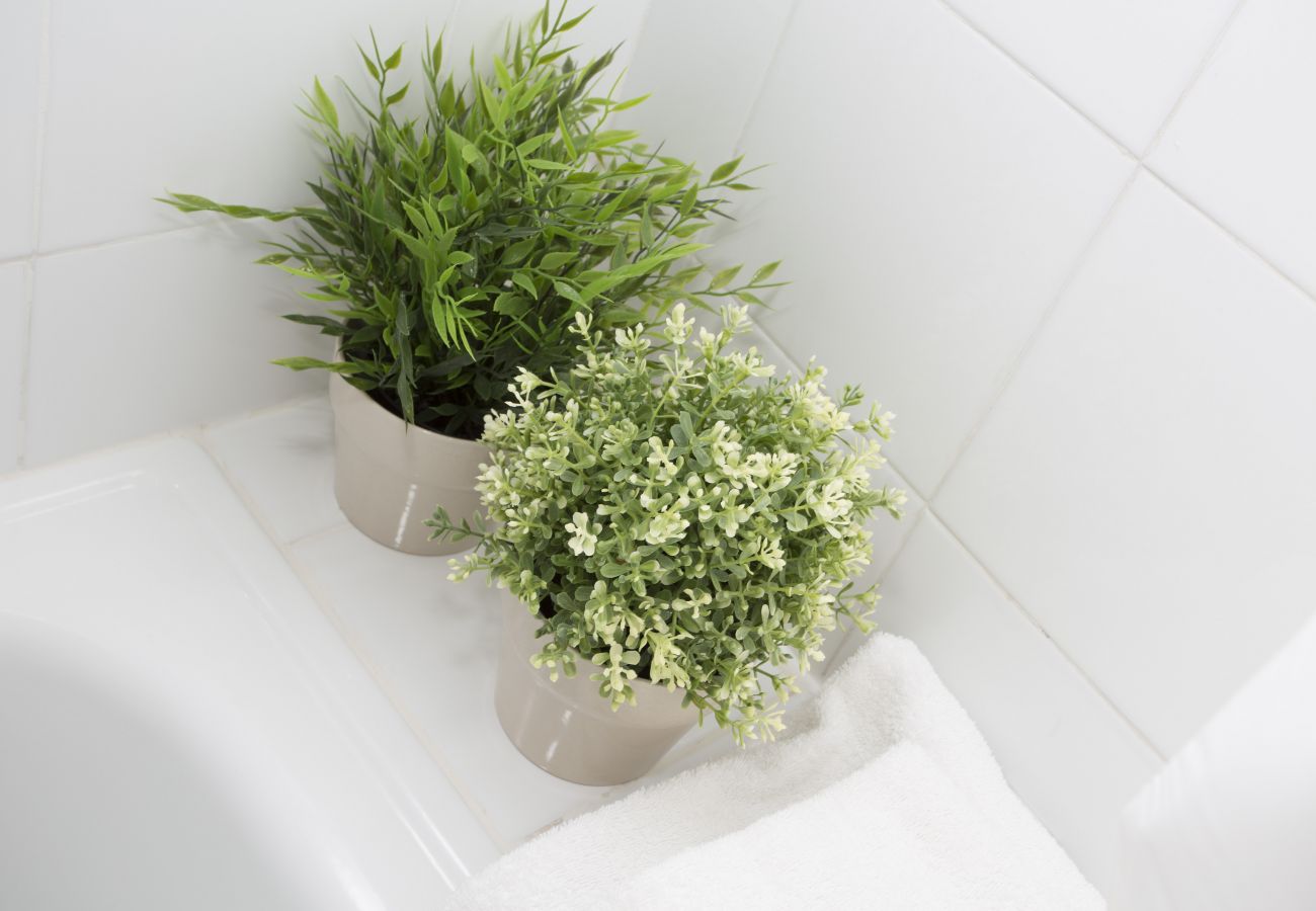 Estudio en Valencia - Botanico Room I