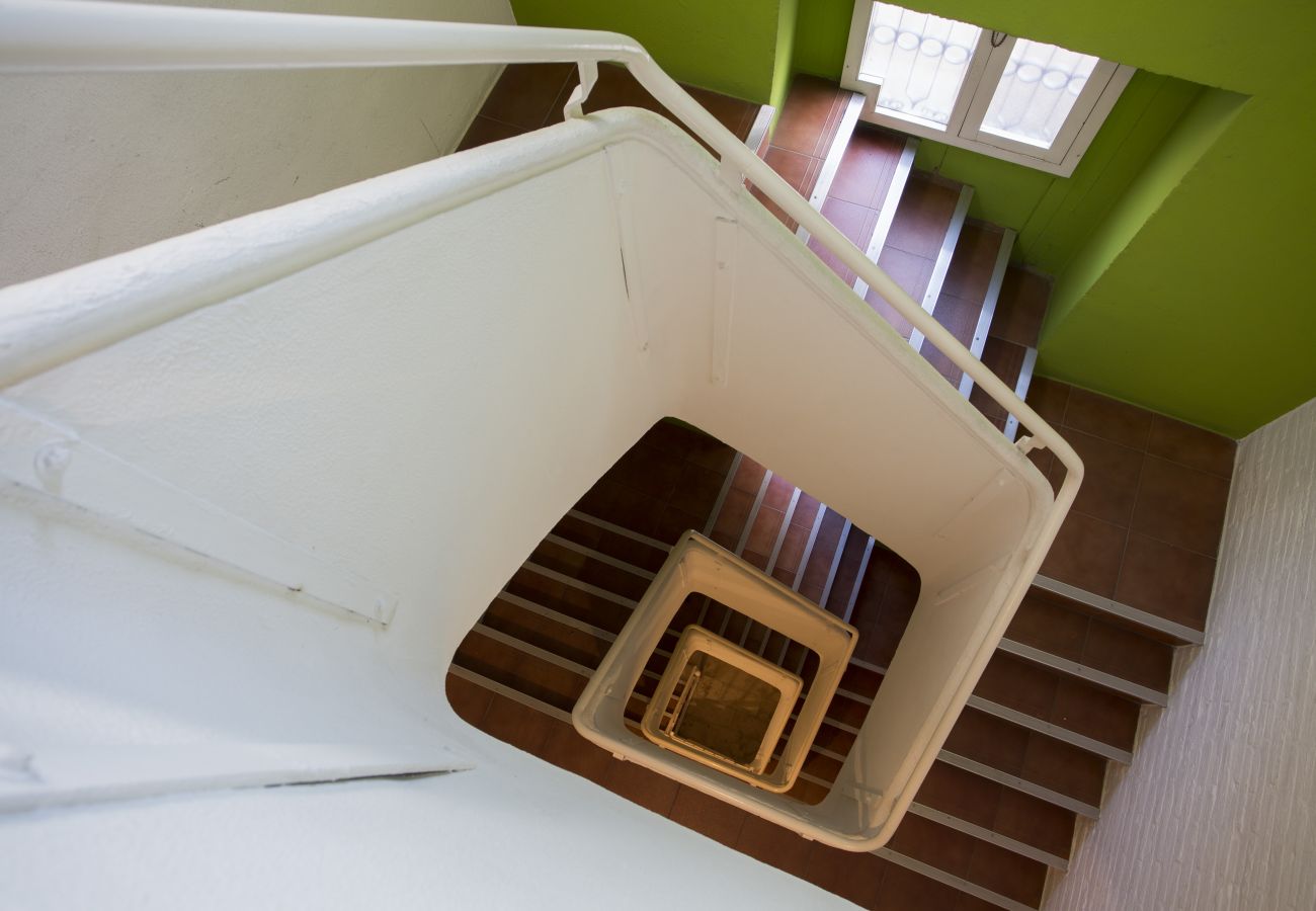 Estudio en Valencia - Botanico Room I