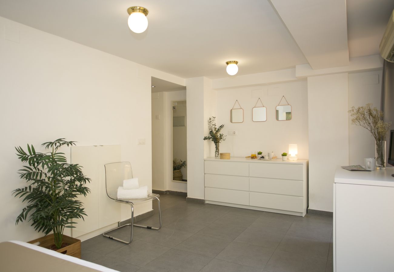 Estudio en Valencia - Botanico Room Terrace III