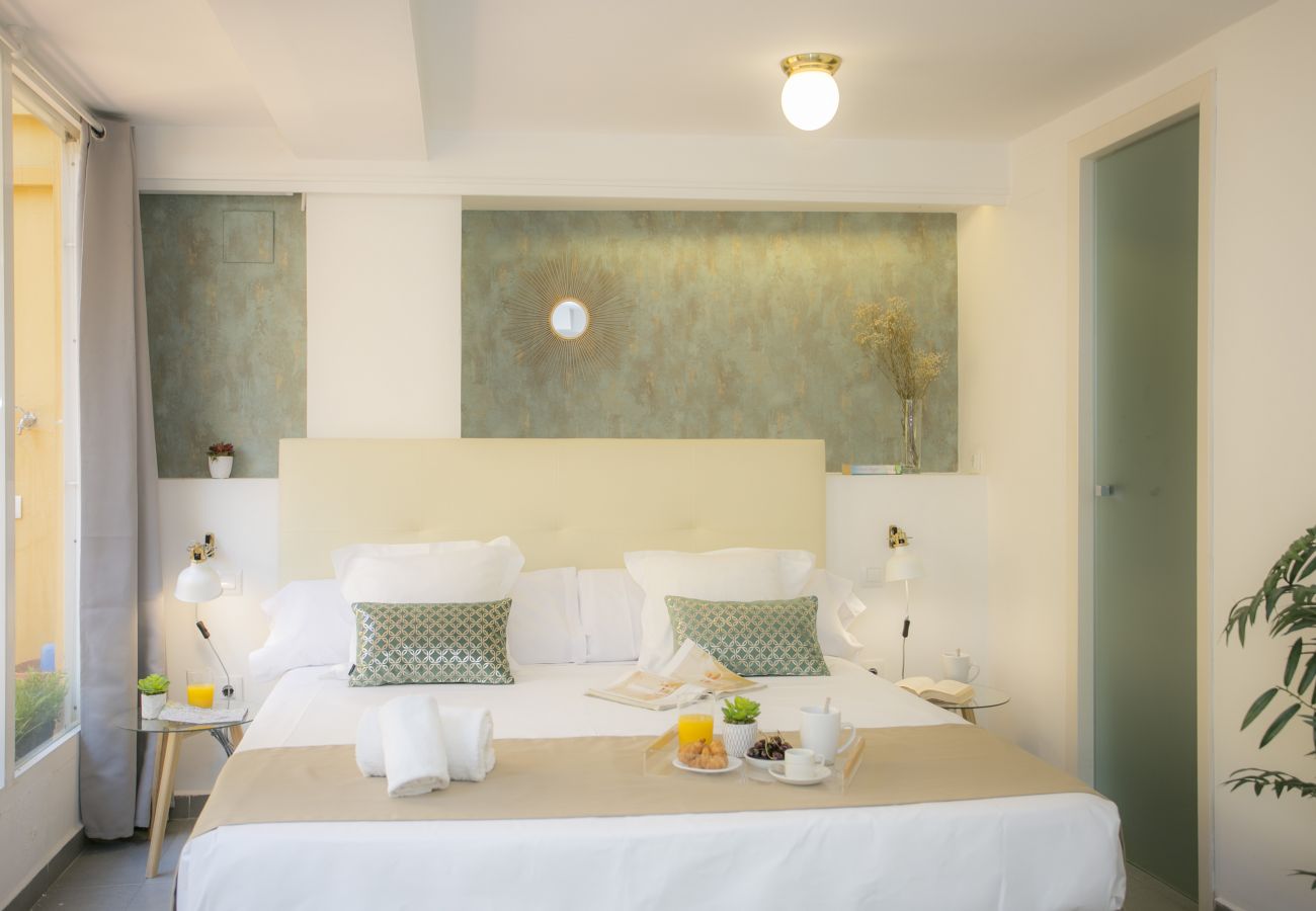 Estudio en Valencia - Botanico Room Terrace III