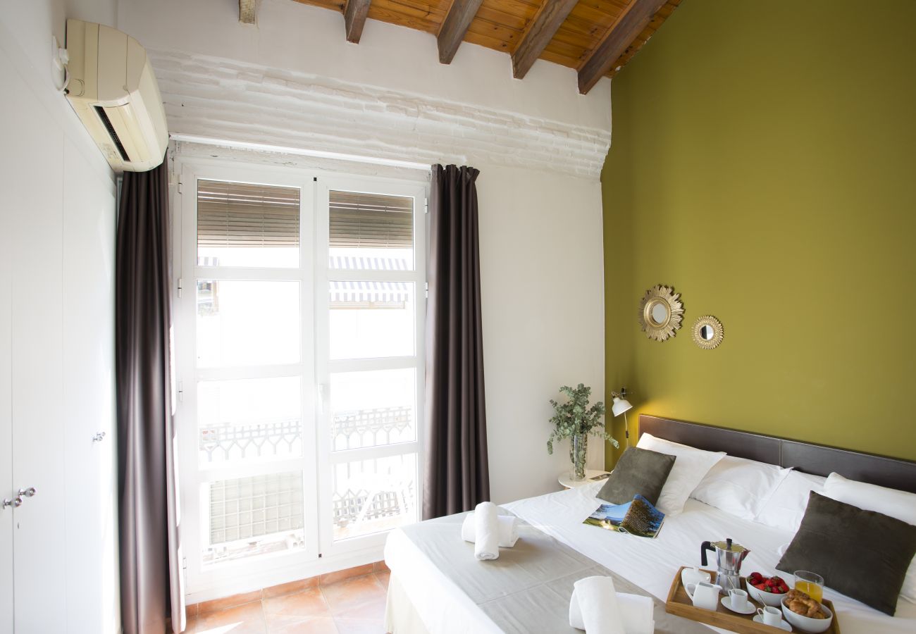 Apartamento en Valencia - Botanico Ático Duplex 302