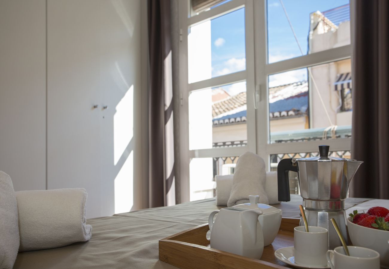 Apartamento en Valencia - Botanico Ático Duplex 302