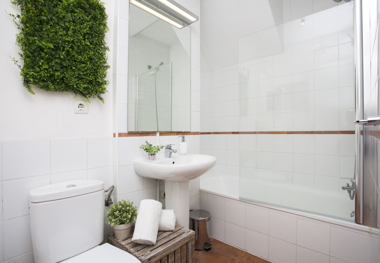 Apartamento en Valencia - Botanico Ático Duplex 302