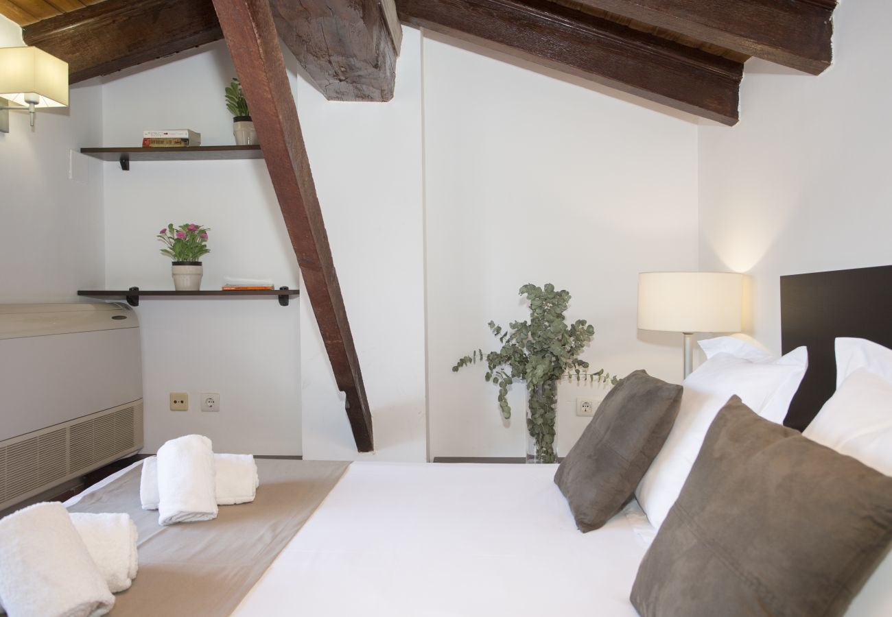 Apartamento en Valencia - Botanico Ático Duplex 302