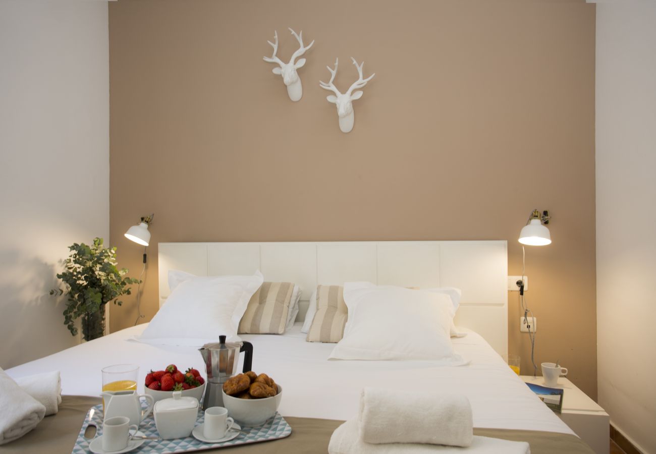 Apartamento en Valencia - Botanico 102