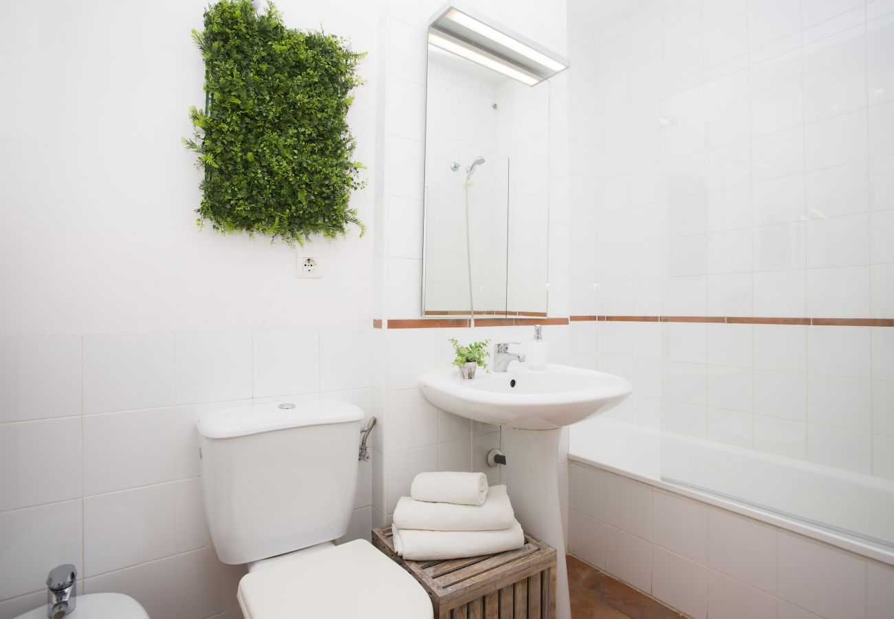 Apartamento en Valencia - Botanico 102