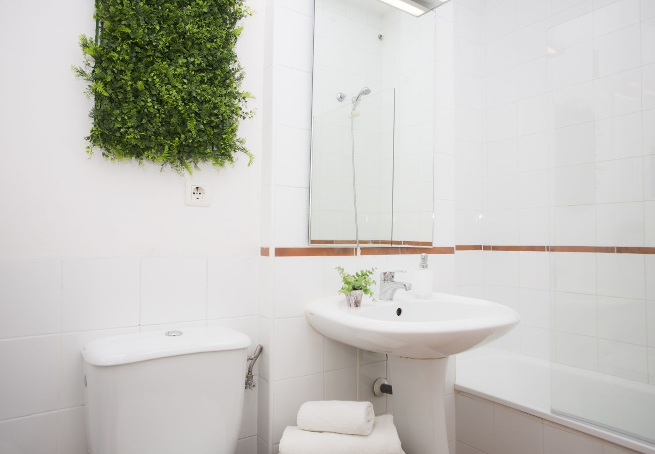 Apartamento en Valencia - Botanico 102