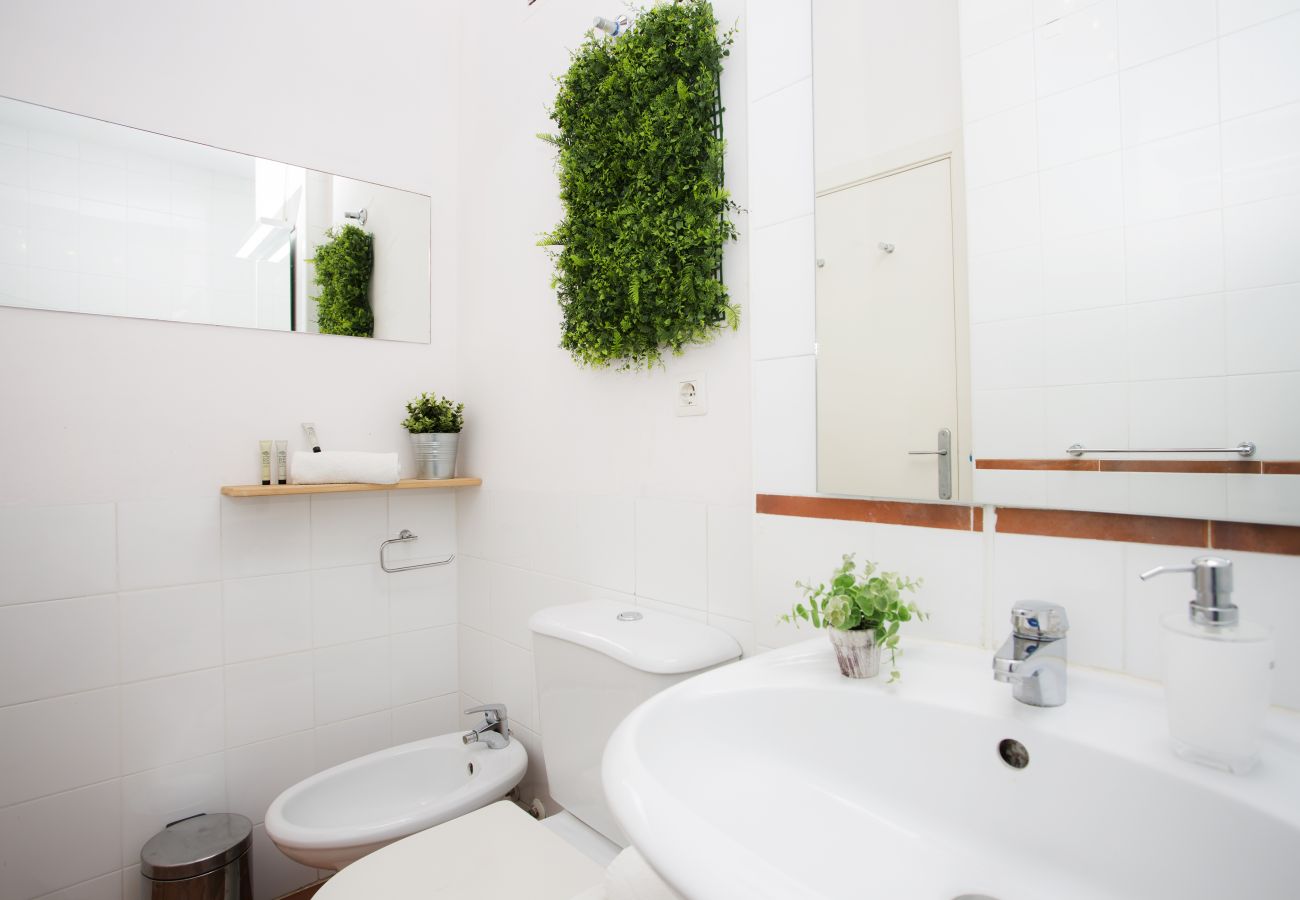 Apartamento en Valencia - Botanico 102