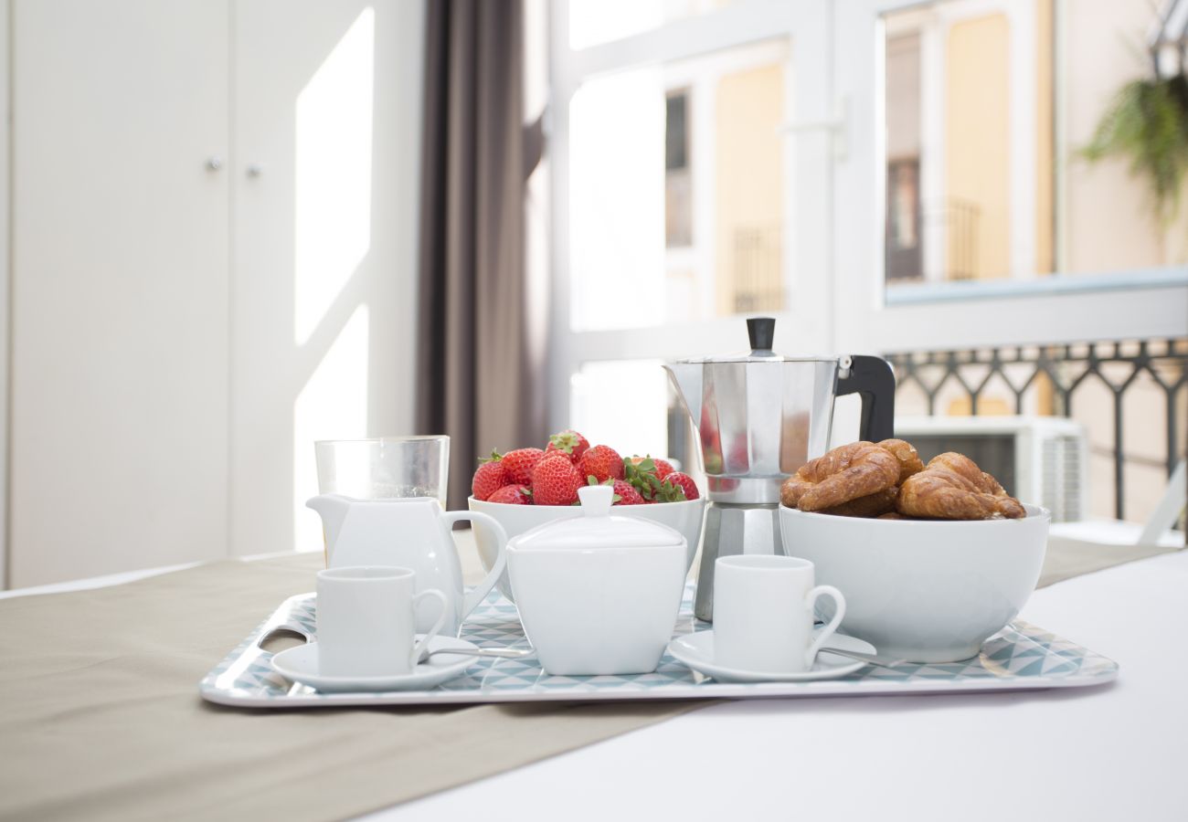 Apartamento en Valencia - Botanico 102