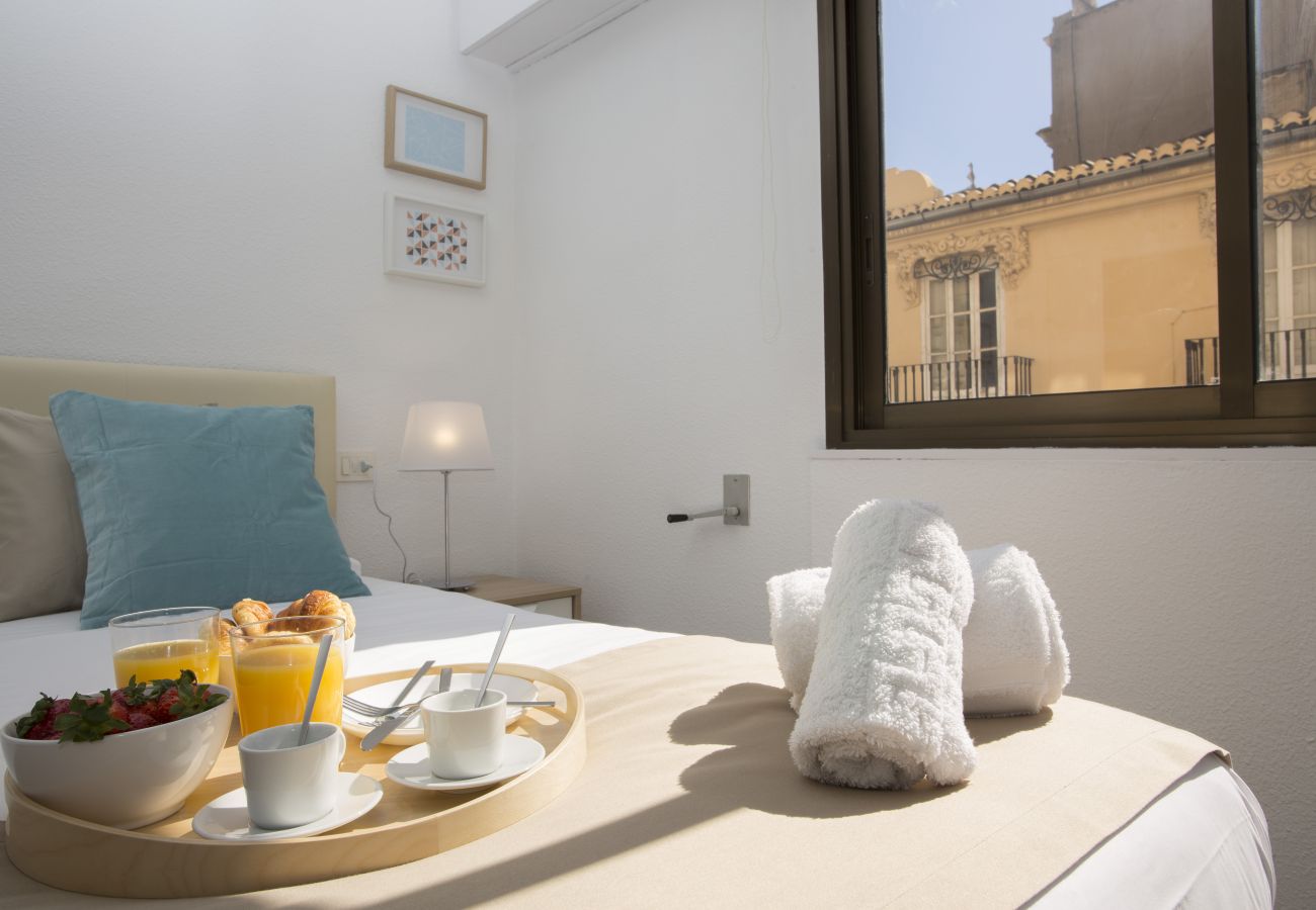 Apartamento en Valencia - Xativa Terrace II