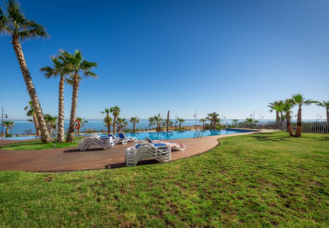 Apartamento en Torrevieja - Fidalsa Paradise Sea Punta Prima Apartamento en Torrevieja - Fidalsa Paradise Sea Punta Prima