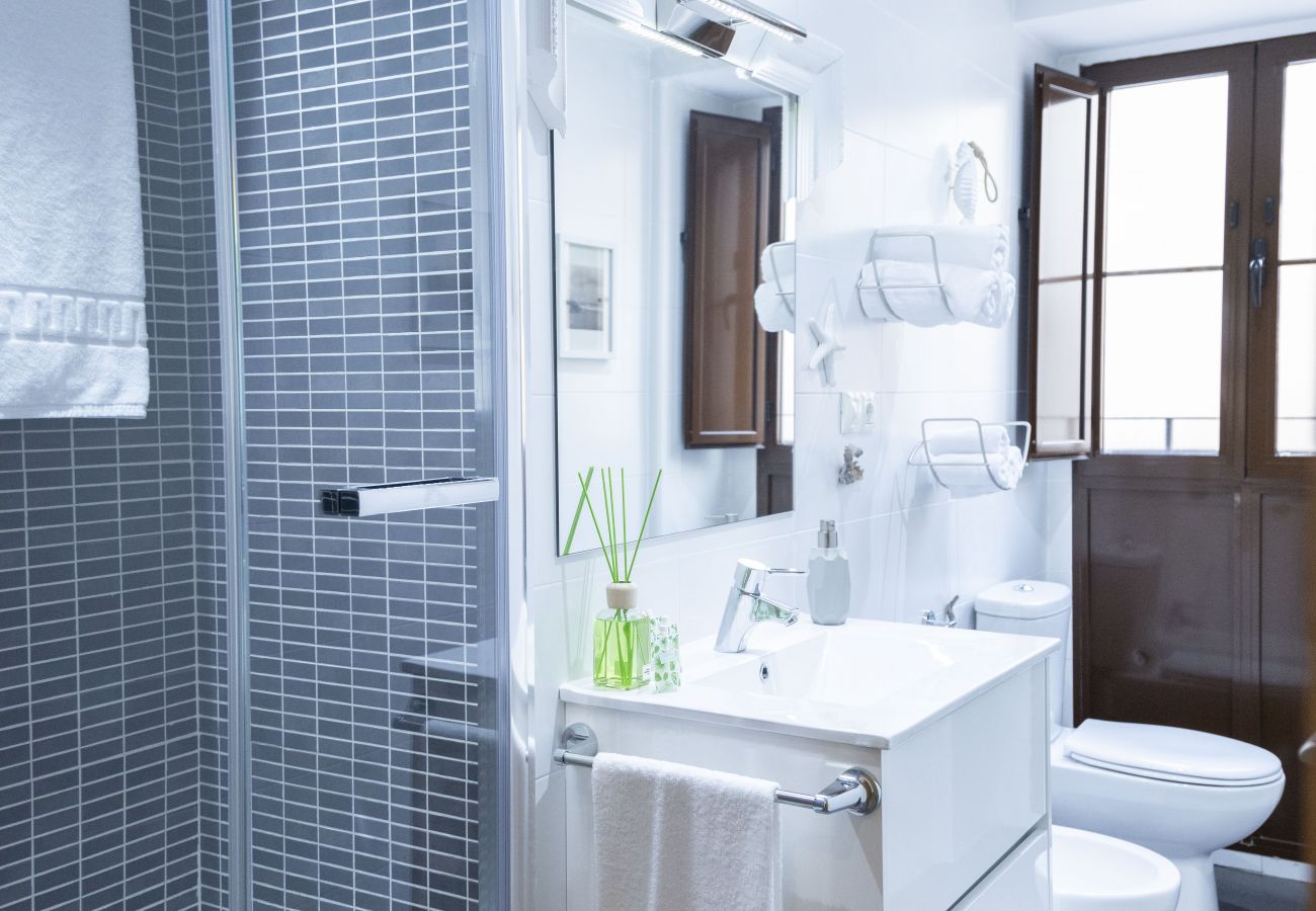 Apartamento en Valencia - Valencia Center III