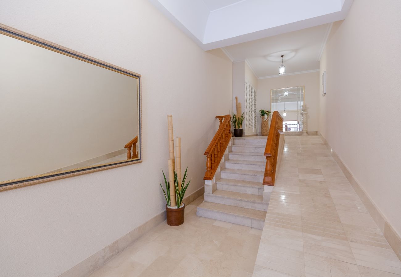 Apartamento en Guardamar - Fidalsa Feel the Sea