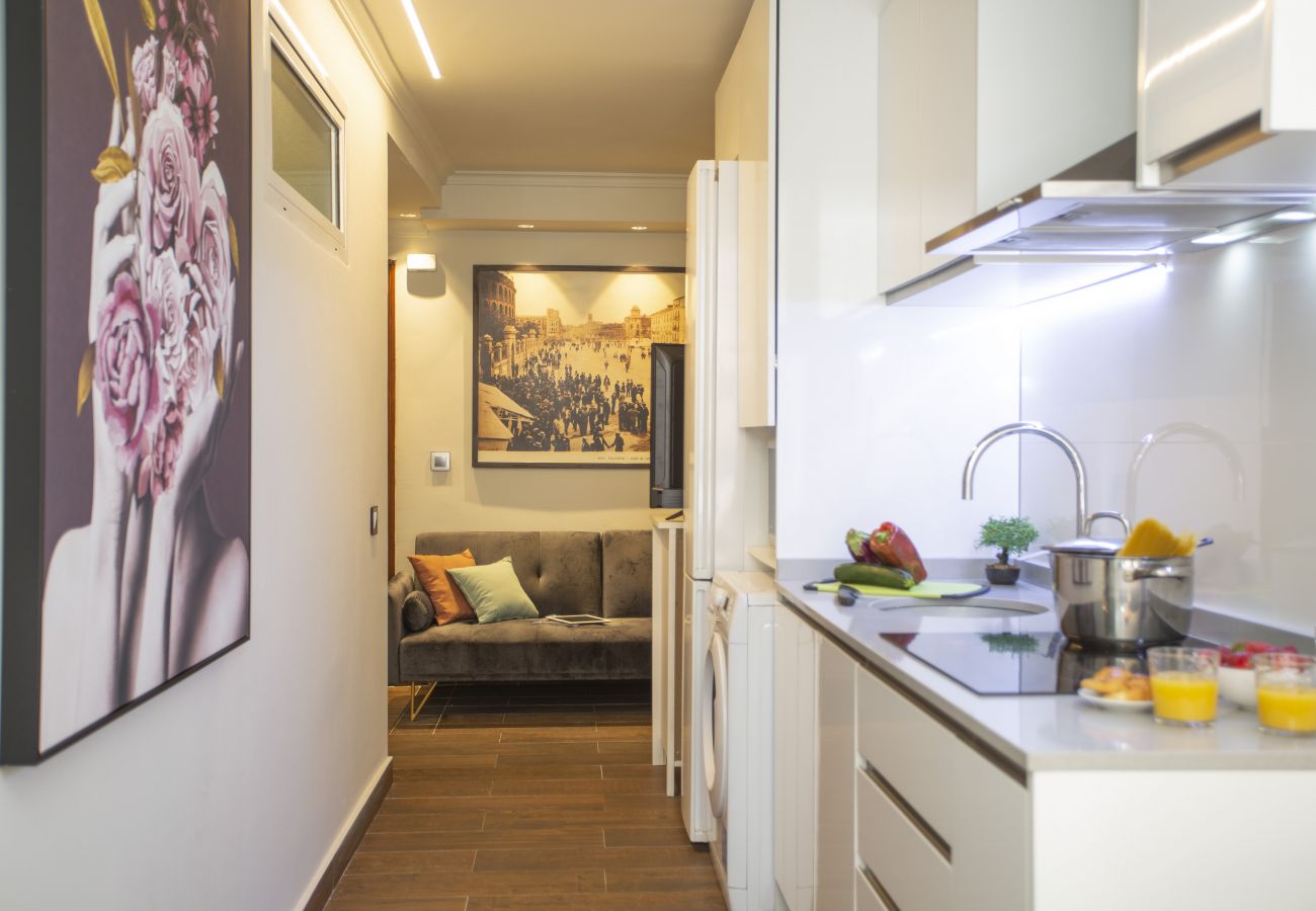 Apartamento en Valencia - Xativa III