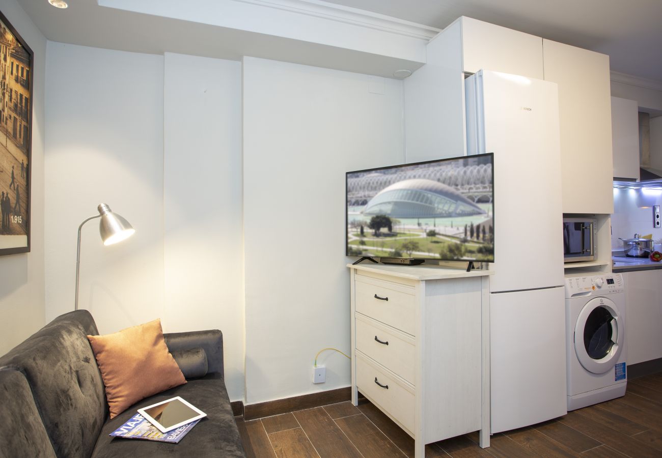 Apartamento en Valencia - Xativa III