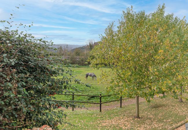 Villa en Bárcena de Pie de Concha - The Stone House by Fidalsa Villa en Bárcena de Pie de Concha - The Stone House by Fidalsa
