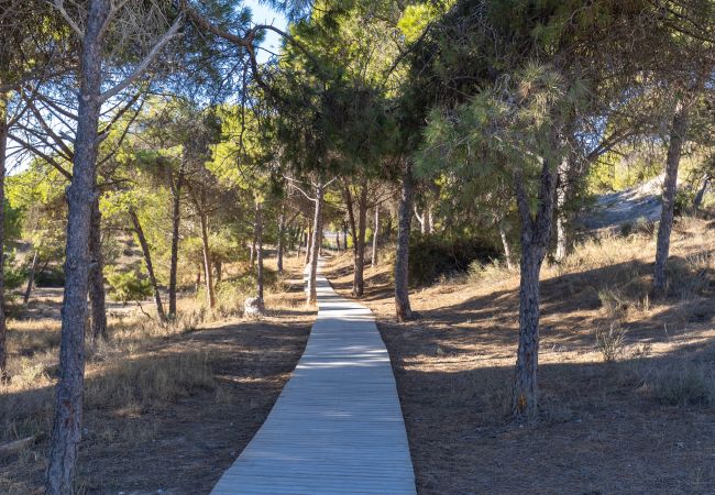 Bungalow en Guardamar - Coral SeaShell Ground Floor by Fidalsa Bungalow en Guardamar - Coral SeaShell Ground Floor by Fidalsa