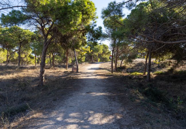 Bungalow en Guardamar - Coral SeaShell Ground Floor by Fidalsa Bungalow en Guardamar - Coral SeaShell Ground Floor by Fidalsa
