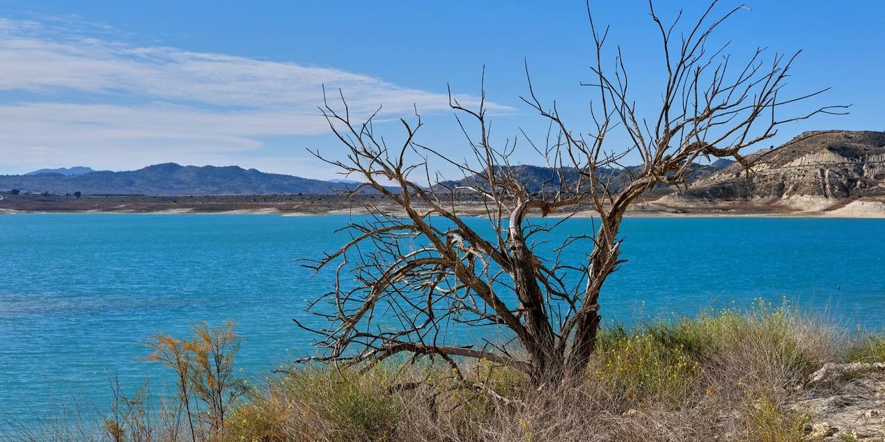 Visitar-embalse-de-la-pedrera.jpg