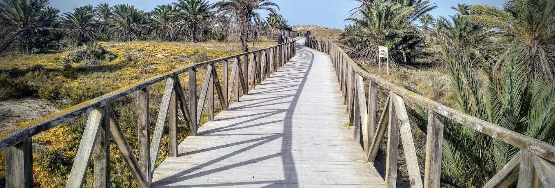 Parque-Alfonso-XIII-guardamar-del-segura