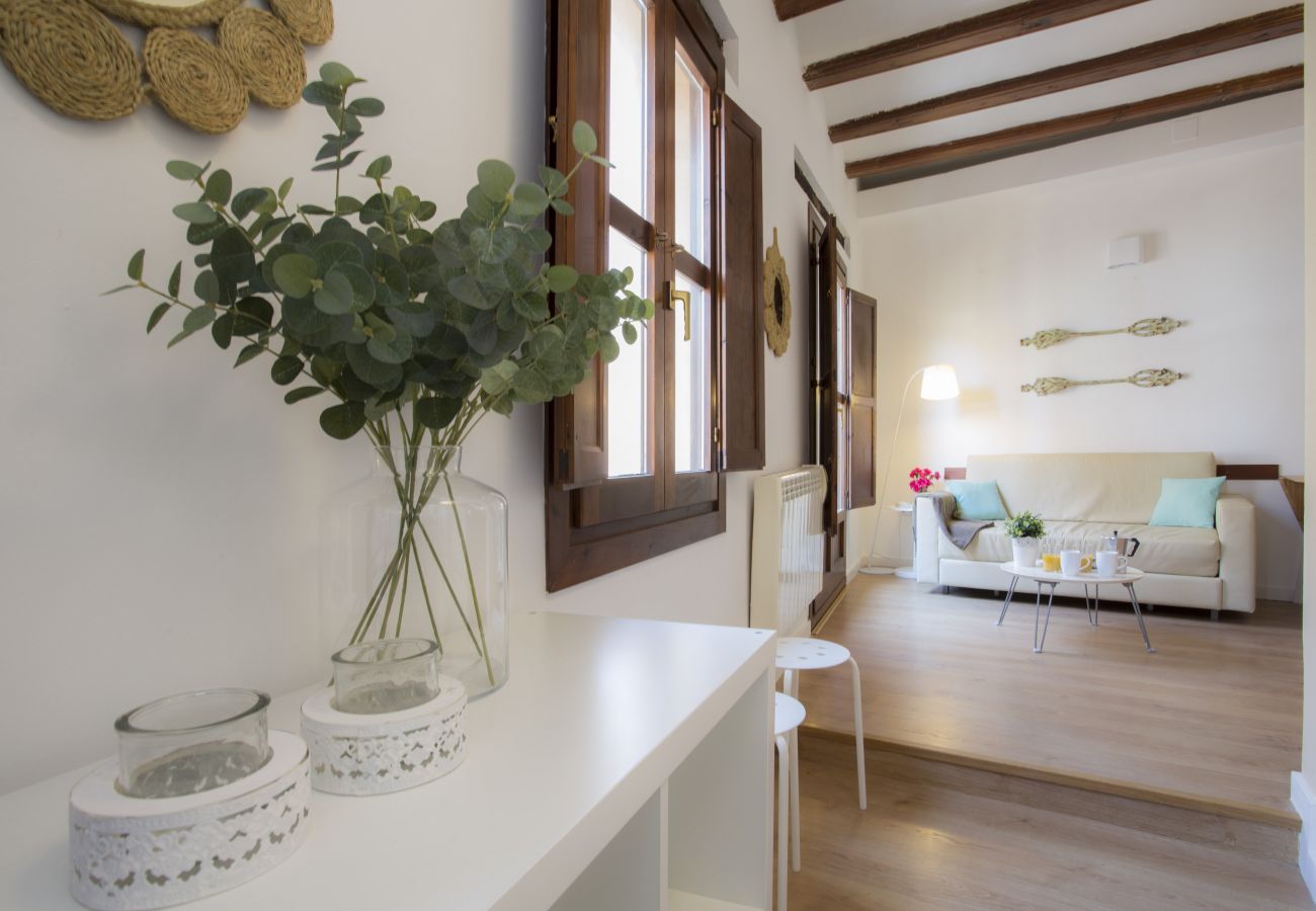 Ferienwohnung in Valencia - Serranos SR