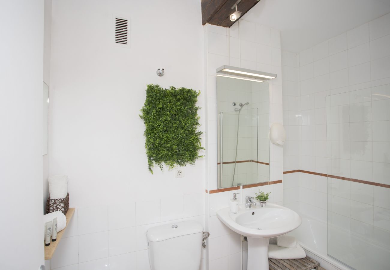Ferienwohnung in Valencia - Botanico 202