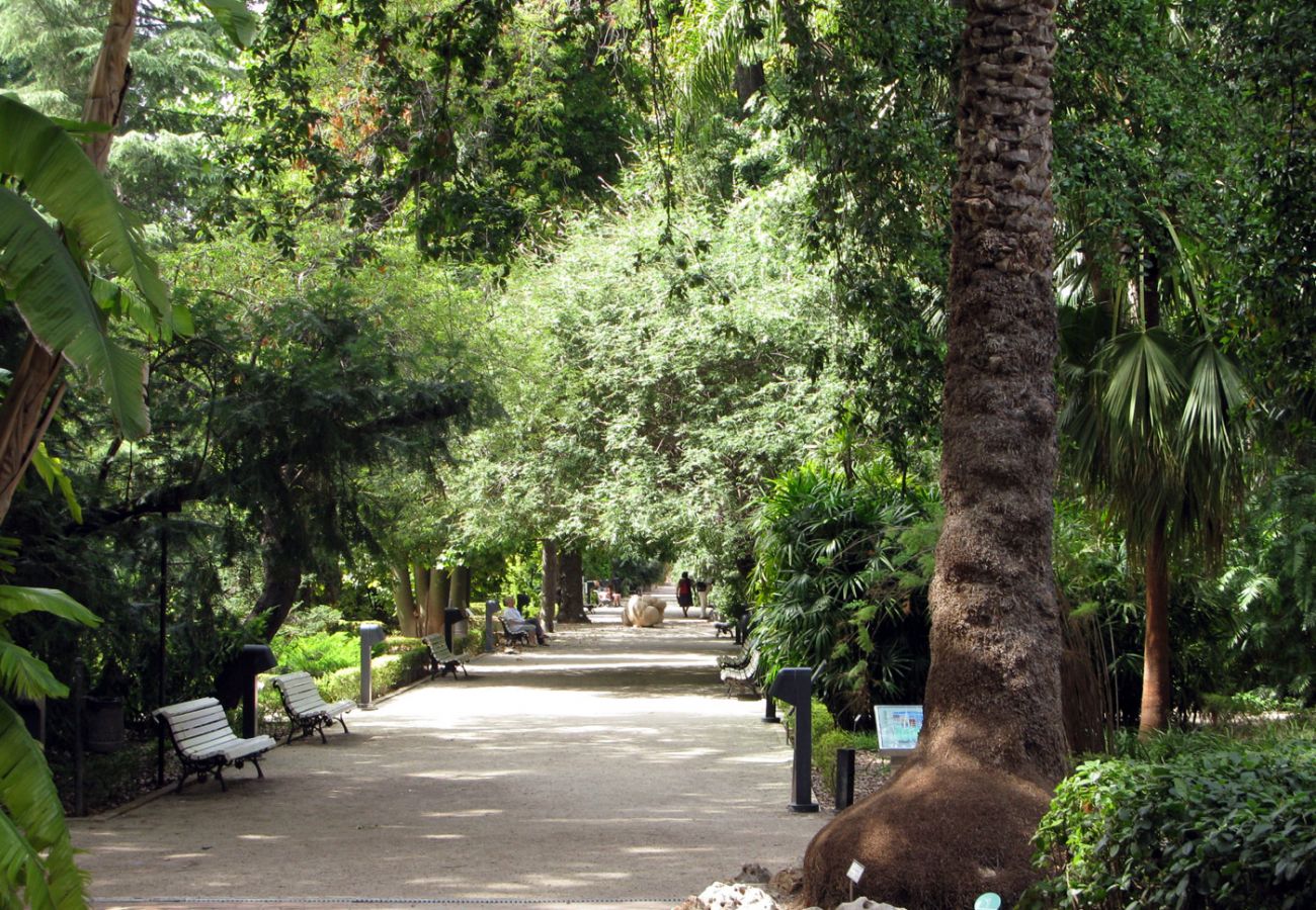 Ferienwohnung in Valencia - Botanico 201