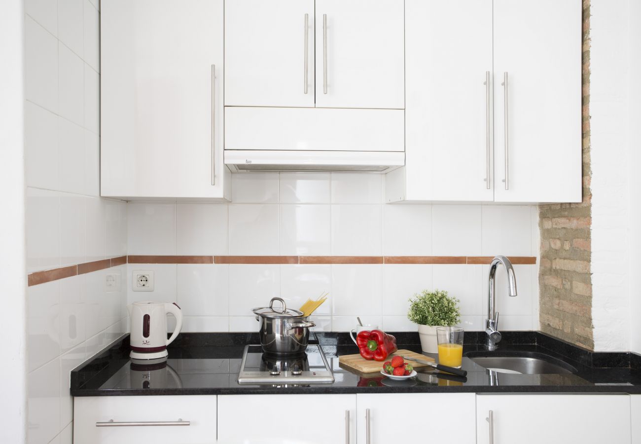 Ferienwohnung in Valencia - Botanico 201