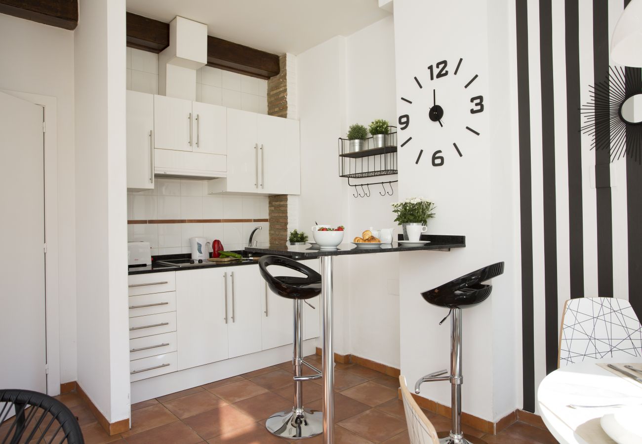 Ferienwohnung in Valencia - Botanico 101