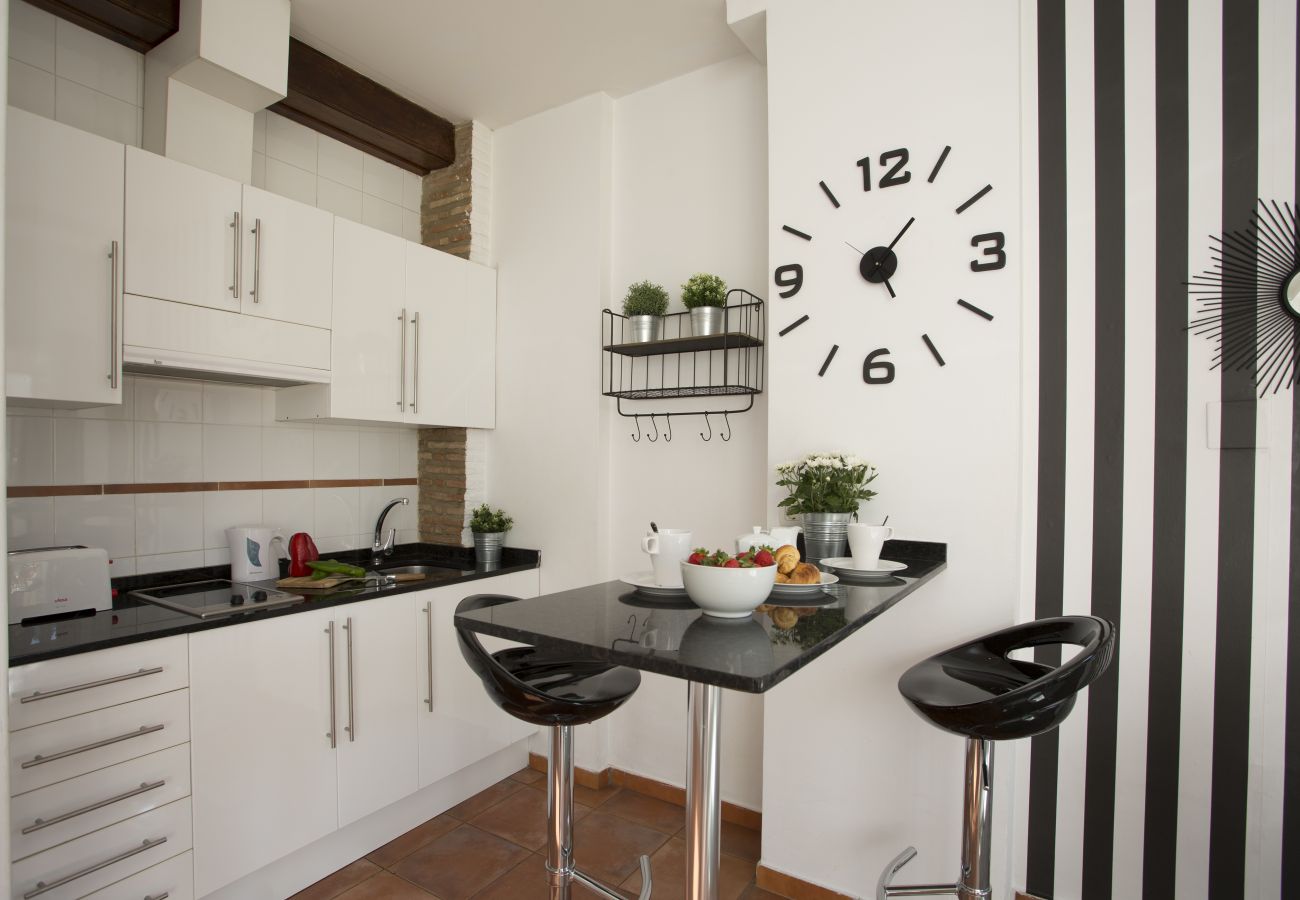 Ferienwohnung in Valencia - Botanico 101