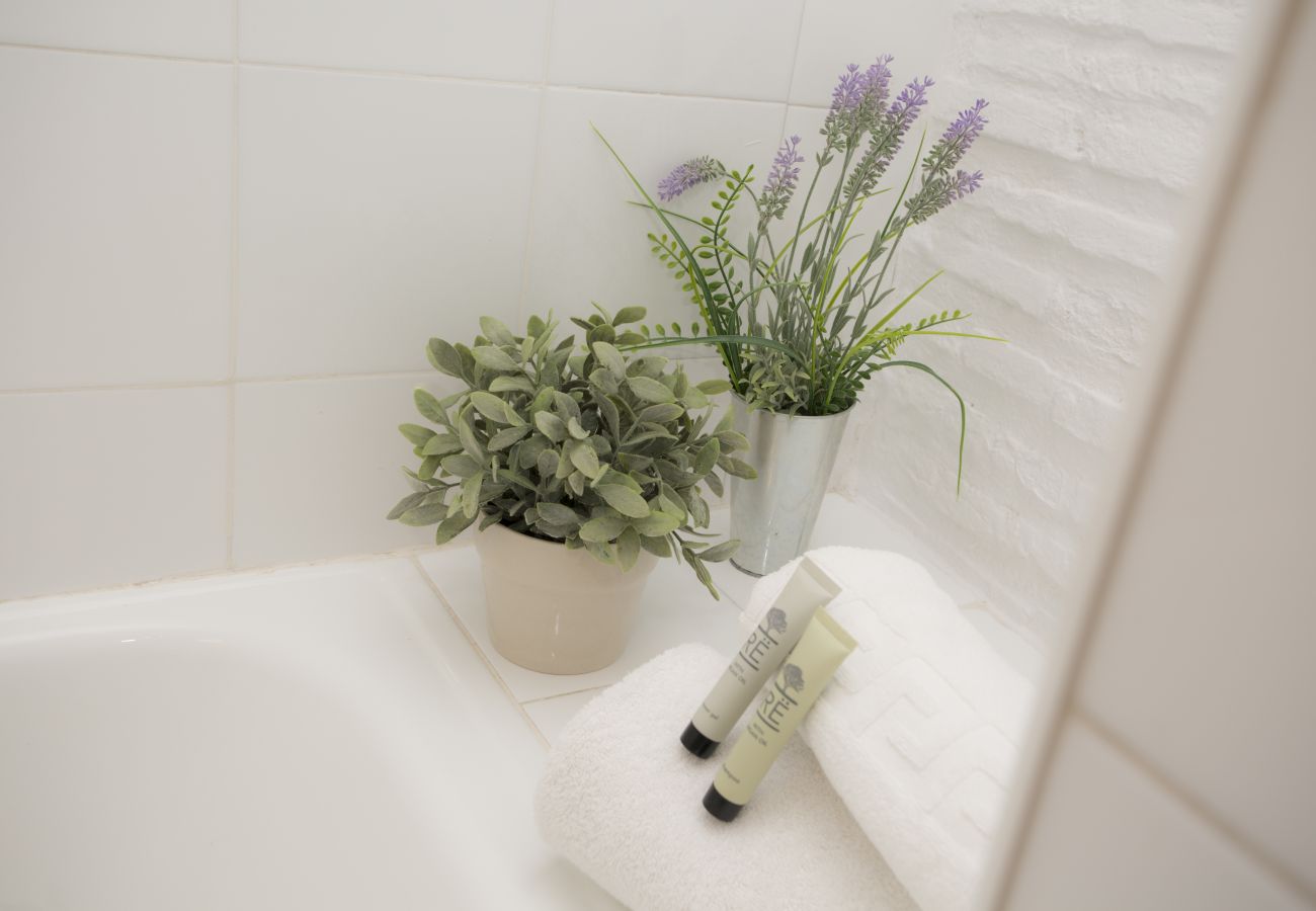 Ferienwohnung in Valencia - Botanico 101