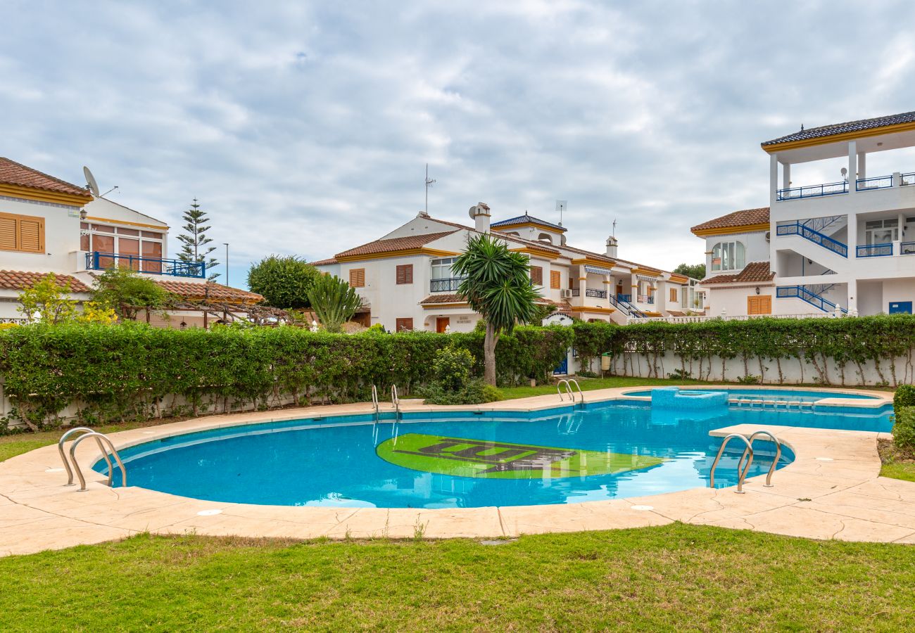 Stadthaus in Pilar de la Horadada - Fidalsa X Veremos