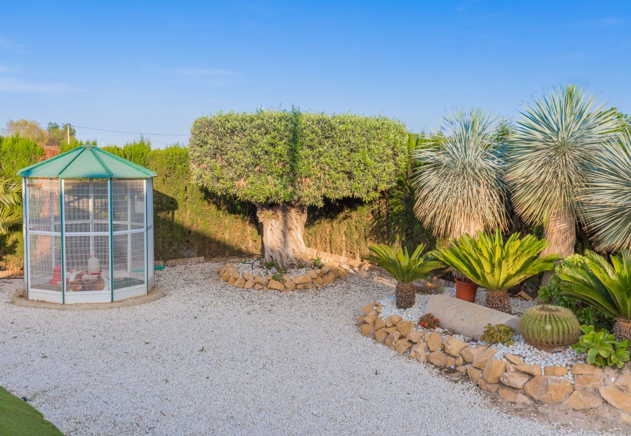 Landhaus in Dolores - Fidalsa Sunny Valley