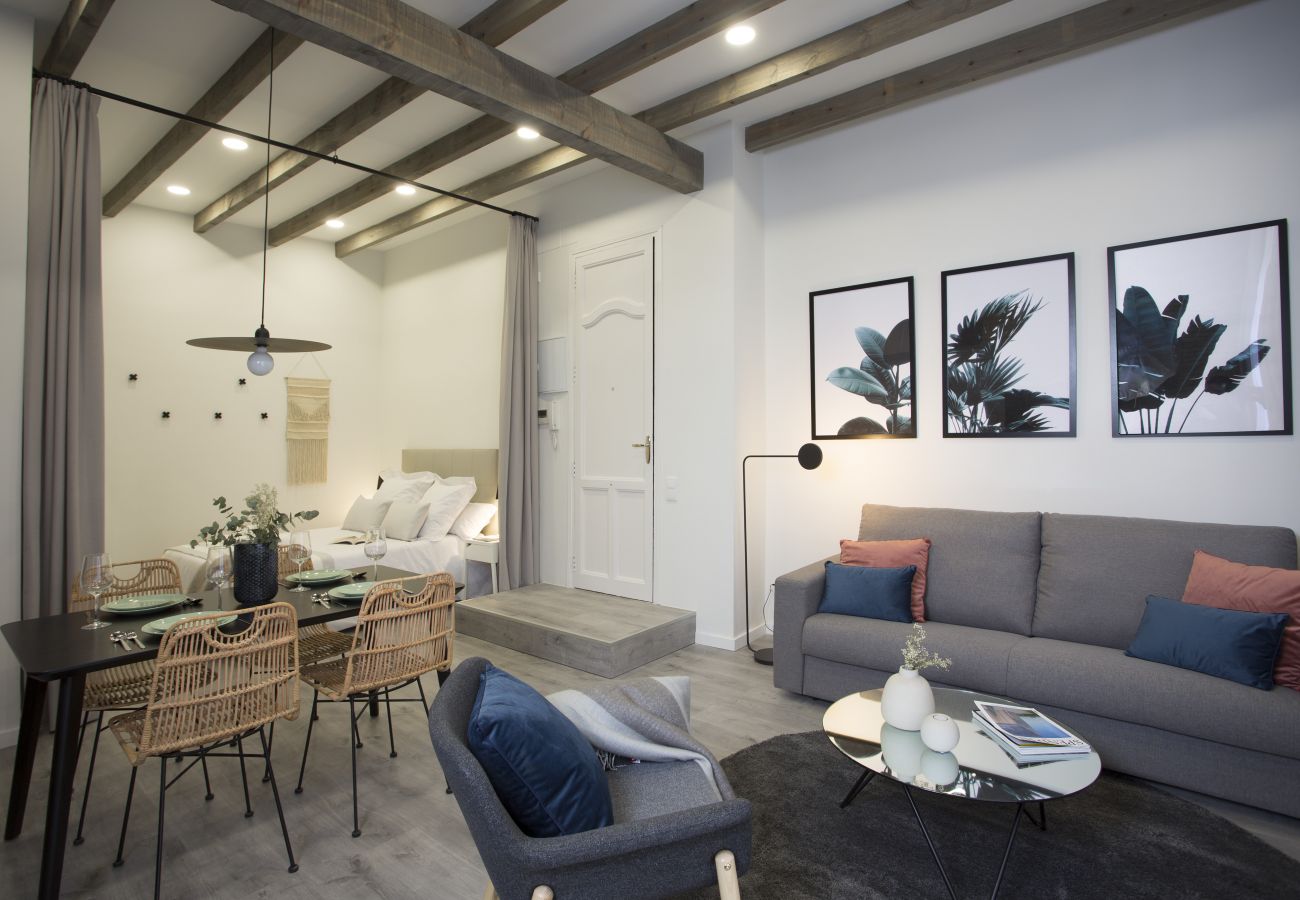 Studio in Valencia - Parque Central II