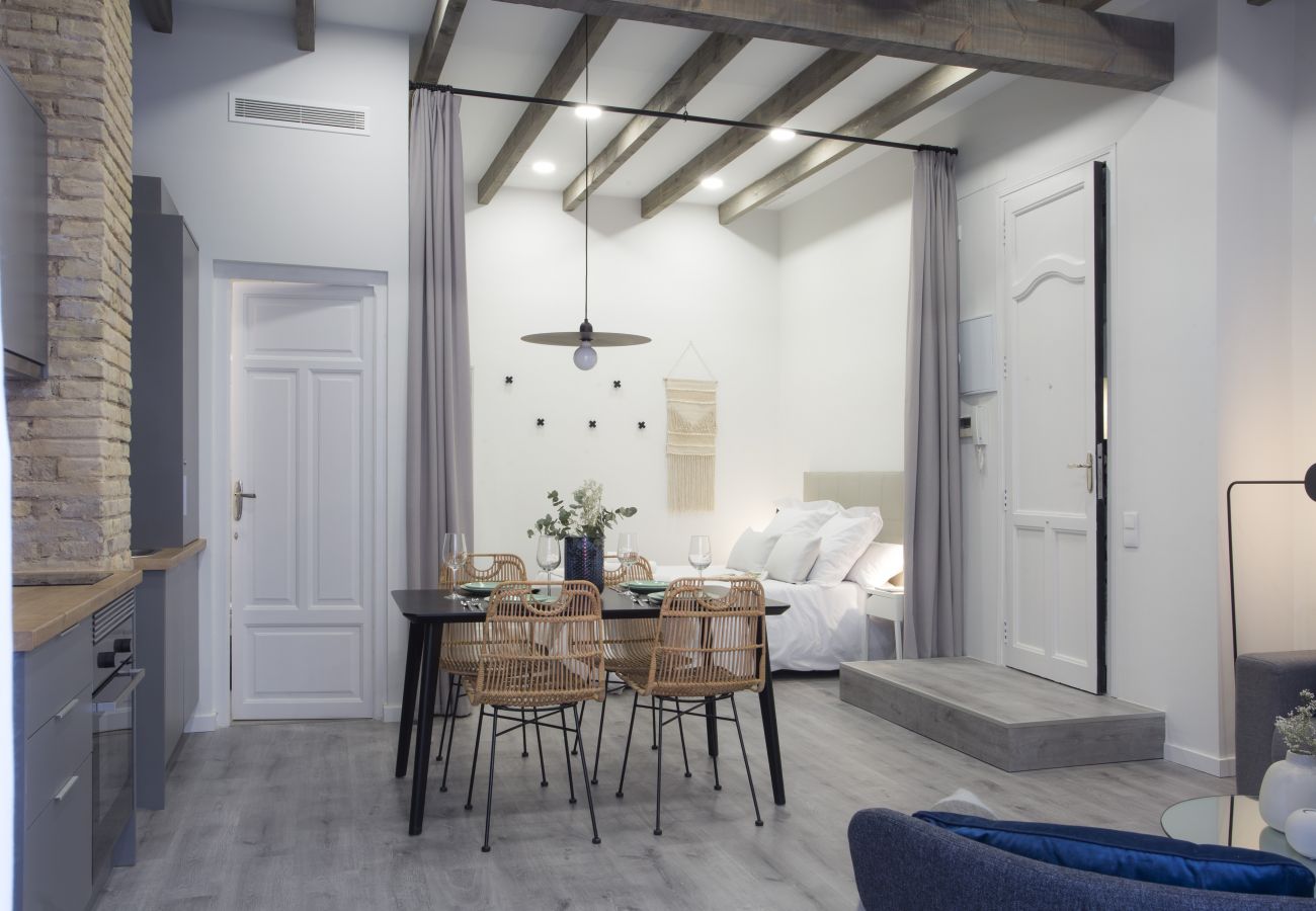 Studio in Valencia - Parque Central II