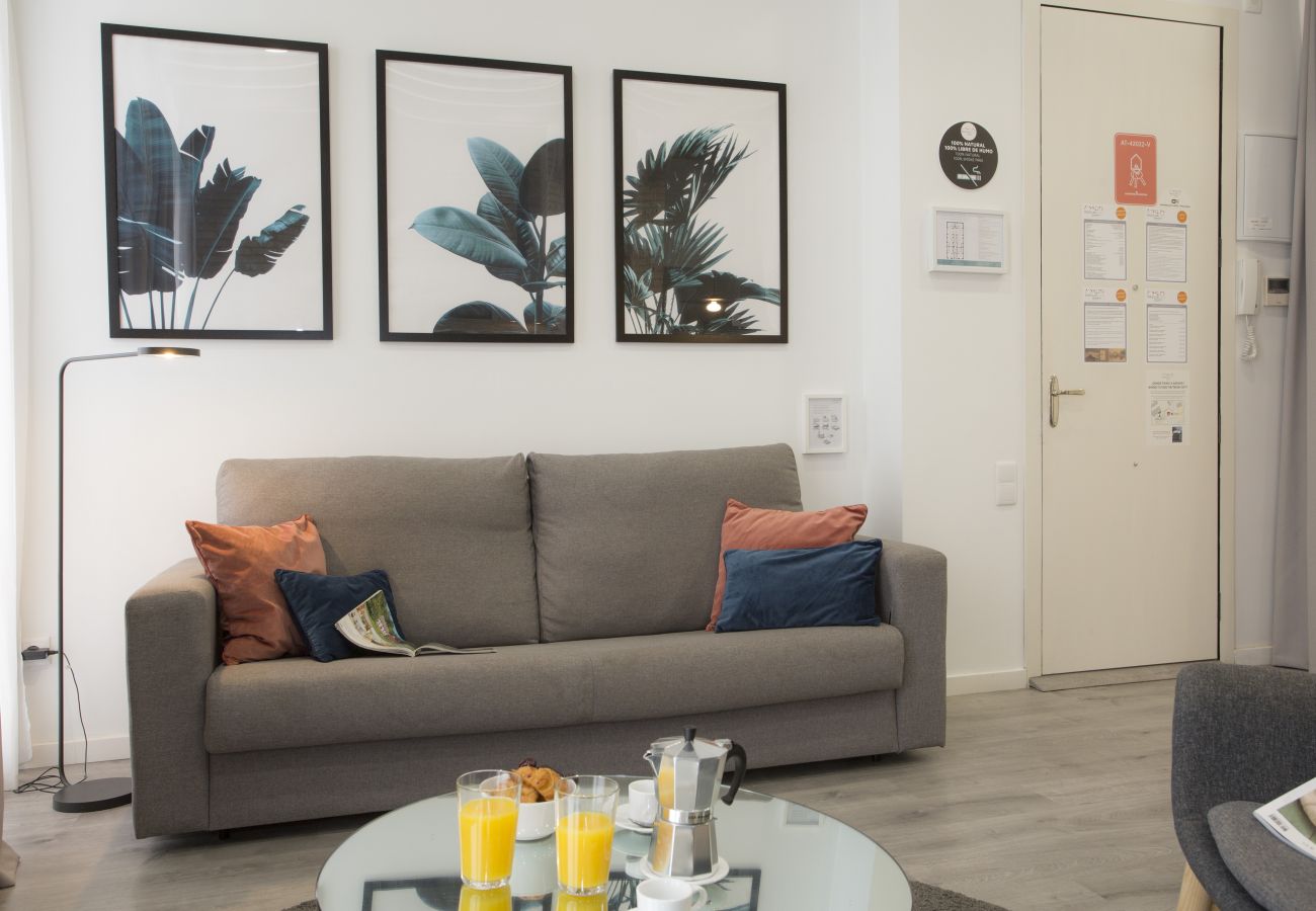 Studio in Valencia - Parque Central I