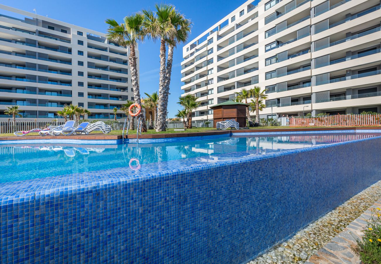 Ferienwohnung in Torrevieja - Fidalsa Paradise Sea Punta Prima