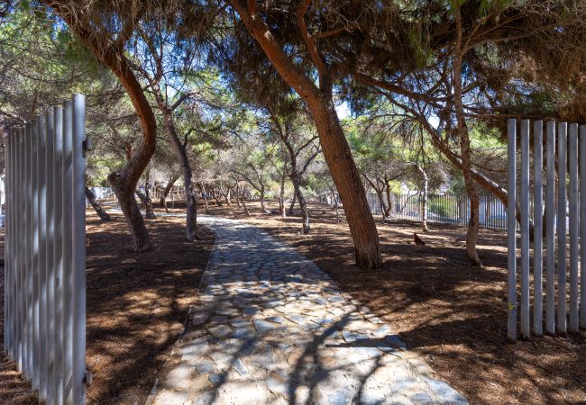 Ferienwohnung in Guardamar - Magical Sunsets by Fidalsa Ferienwohnung in Guardamar - Magical Sunsets by Fidalsa