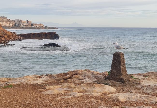 Villa in Torrevieja - Fidalsa Moon Dunes Villa in Torrevieja - Fidalsa Moon Dunes