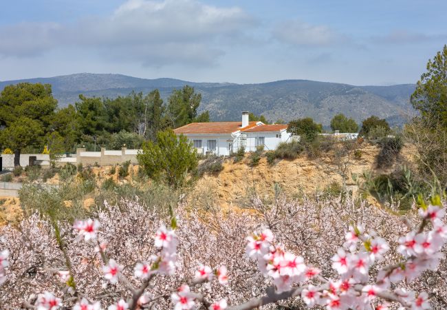 Villa in Ibi - Rustic Escape by Fidalsa Villa in Ibi - Rustic Escape by Fidalsa