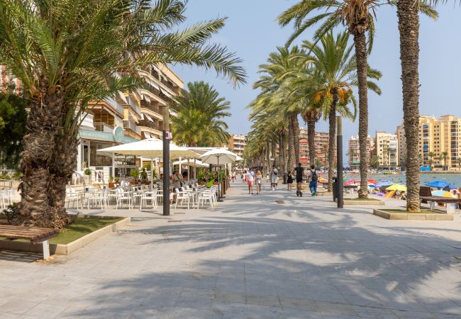 Ferienwohnung in Torrevieja - Penthouse Morning Star by Fidalsa Ferienwohnung in Torrevieja - Penthouse Morning Star by Fidalsa