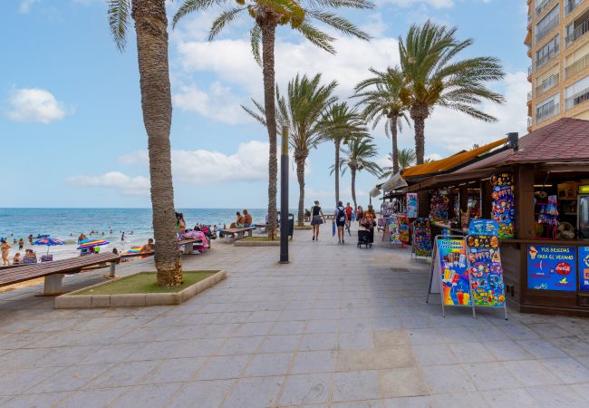 Ferienwohnung in Torrevieja - Penthouse Morning Star by Fidalsa Ferienwohnung in Torrevieja - Penthouse Morning Star by Fidalsa