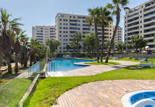 Ferienwohnung in Torrevieja - Paradise Views by Fidalsa Ferienwohnung in Torrevieja - Paradise Views by Fidalsa