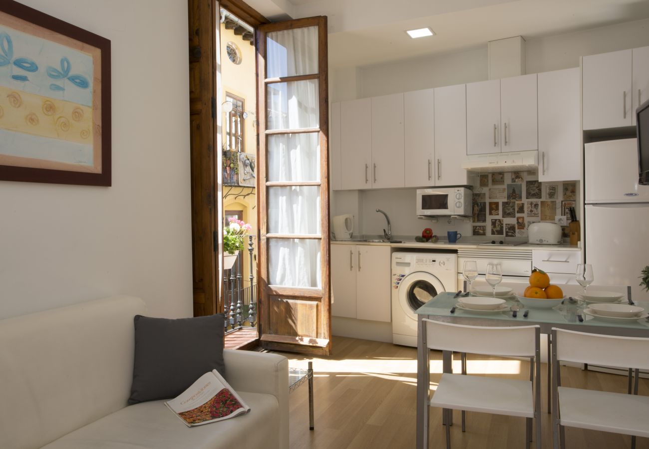 Apartment in Valencia / València - Bolseria III