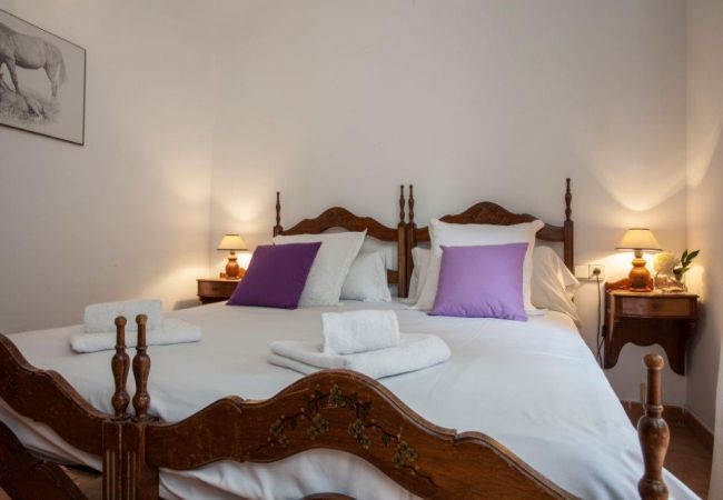 Apartment in Valencia / València - Maritim SR