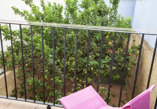 Apartment in Valencia / València - Maritim SR