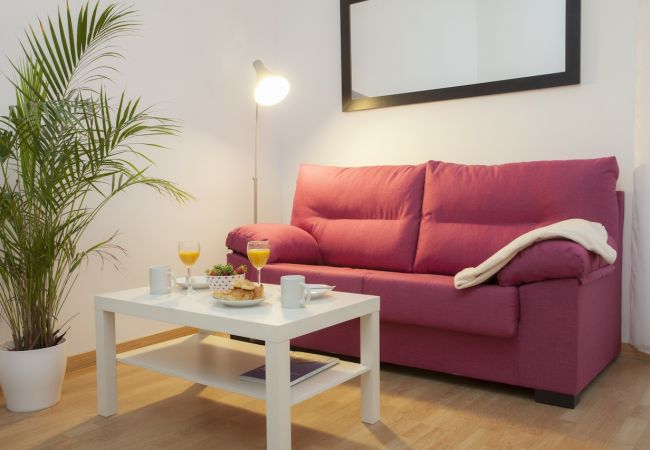 Apartment in Valencia / València - SEU V SR