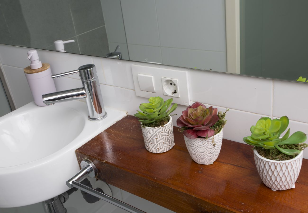 Studio in Valencia / València - Botanico Room IV